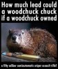 woodchucker.jpg