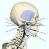 DPP Skull side view with shot angles.jpg