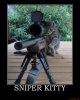 Cat Sniper-a.jpg