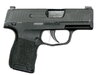 P365 Right Side View Radiused No Lever.jpg P365 Right Side View Radiused No Lever.jpg