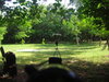 Range behind the barn_80 yds.JPG