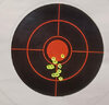 25 yard with 6 inch C-More 12 MOA.jpg