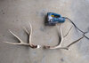 deer-antler-May 04, 2023-163043340 - Copy.jpg