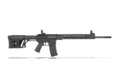 armalite m15.JPG