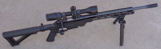 CZ527300AAC.jpg