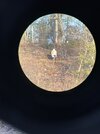 IMG_3426.jpeg