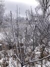 IMG_3225.jpeg IMG_3225.jpeg