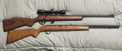 rifles .22LR.jpg