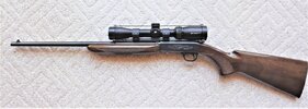 Browning SA 22LR -1.JPG