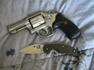 Sage Pic 3rd_1024 shrp adj.jpg