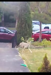 IMG_1918.jpeg