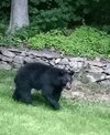 20240603_052511.jpg
