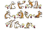 calvinandhobbes-dance-moves.jpg