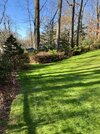 IMG_4010.jpeg