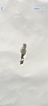 IMG_7197.png