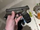 IMG_0533.jpeg