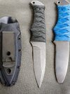 bloodshark_4.jpg