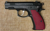 CZ-PCR-2023.jpg