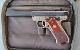 Ruger FrankenMark IV 241005 26.jpg