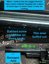 IMG_7217.jpeg