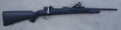 MauserScoutRMR.jpg