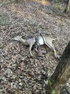 IMG_3912.jpeg