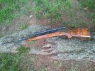 Springfield 1.jpg