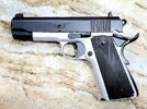 Tisas Aviator LH Post-Mod.jpg