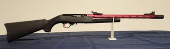 20250130_104413.jpg