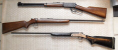 Early Family Guns.JPG