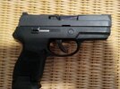SigP250SCSmll.jpg