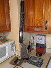 IMG_0222.jpeg IMG_0222.jpeg