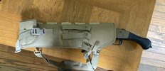 IMG_2764.jpeg