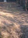 20250318_180916.jpg
