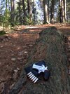 IMG_3873.jpeg