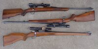 MauserSporters.jpg