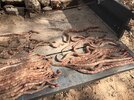 Snakes 1.jpg