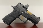 Sig P-320 X-Carry Spectre Pic 1.JPG