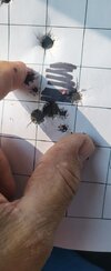 20240908_160903.jpg