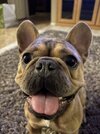 IMG_7796.jpeg