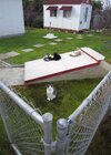 BackyardCatDisplayS.jpg