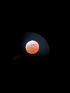 IMG_0262.jpeg