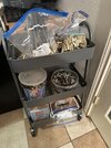 IMG_9100.jpeg