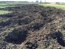 hog damage.jpeg