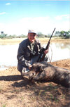 warthog1.jpg