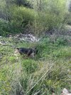IMG_2820.jpeg