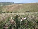 IMG_2811.jpeg