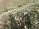 IMG_2810.jpeg