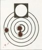 44 mag 2007 with cut down Marlin 444 barrel at 100 yards with 240 gr JHP 24 gr H110.jpg