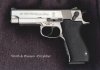 Smith & Wesson 45.jpg